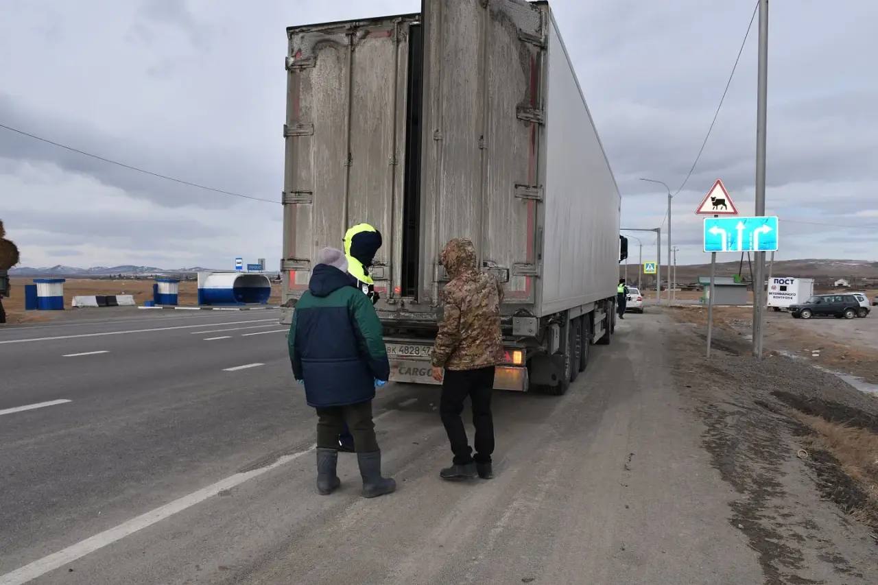 Эпизоотическая ситуация в Хакасии – под контролем госветслужбы Эпизоотическая ситуация в Хакасии – под контролем госветслужбы