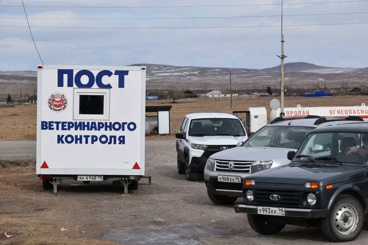 Эпизоотическая ситуация в Хакасии – под контролем госветслужбы