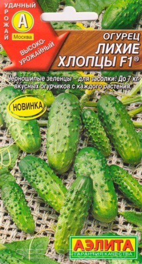 Лучшие сорта пучковых огурцов для вашего огорода