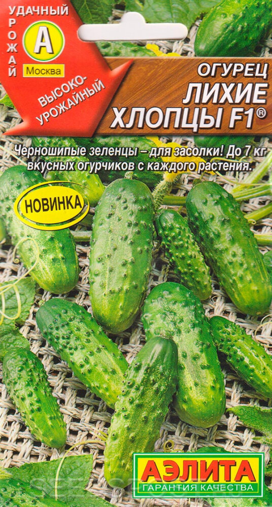 Лучшие сорта пучковых огурцов для вашего огорода