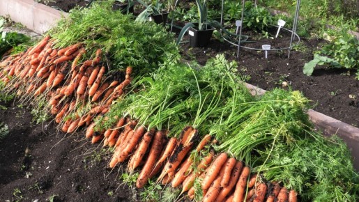 ��� ������� ������ �������: �������� ������� ��� ������