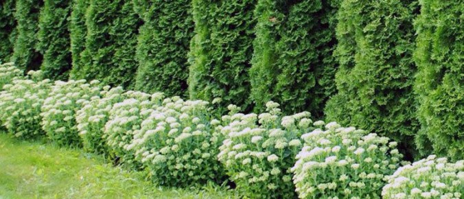 ��� ������� ��������� ����� �������� ��� ������ �������