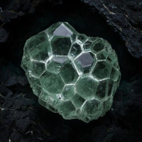 ������� � ������ ����� ��������� ������� ���������, ��������� ���������� ����