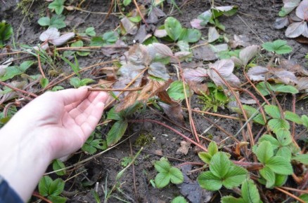 ���� �� ��������� ������: ������� ��������� ������