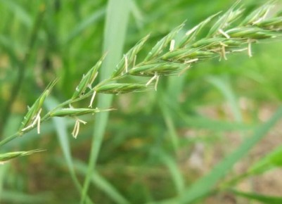 �����: ��� ���������� � ���������� �������� �� ������� �������