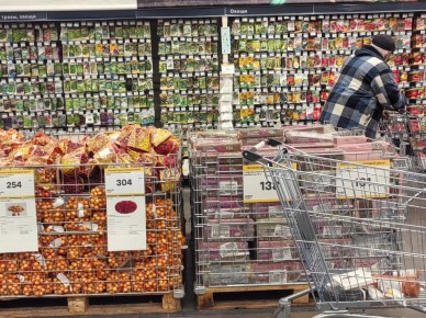 Правило трёх «П» для выбора семян: как не ошибиться при покупке