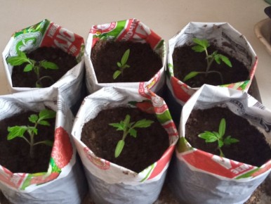 �������� 2026: ������������� � �������� ������� � ������