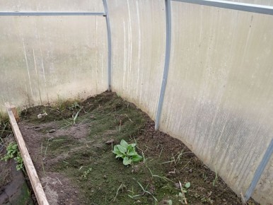 ��� ������� ����� � ������� �����������: ������� �������