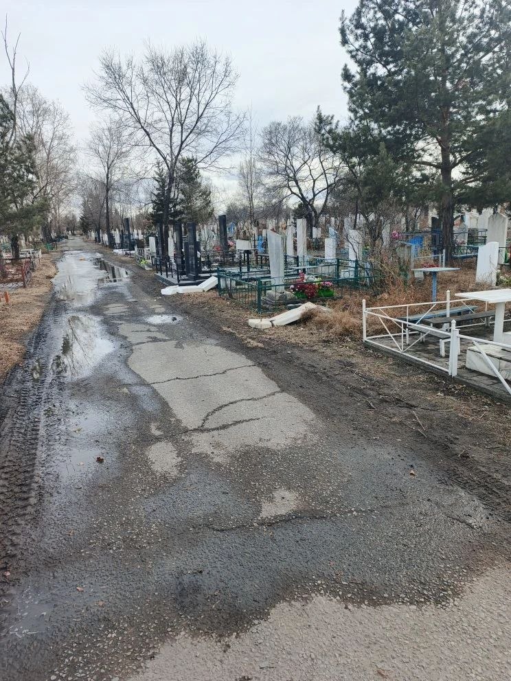 Больше двух десятков надгробий разрушили вандалы на старом кладбище Черногорска Больше двух десятков надгробий разрушили вандалы на старом кладбище Черногорска