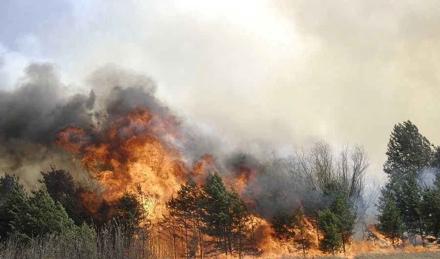 Пожароопасный сезон начинается в Хакасии