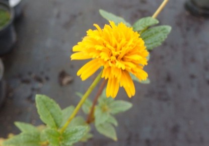 ���������: ��� ��������� ������ �� ����� �������