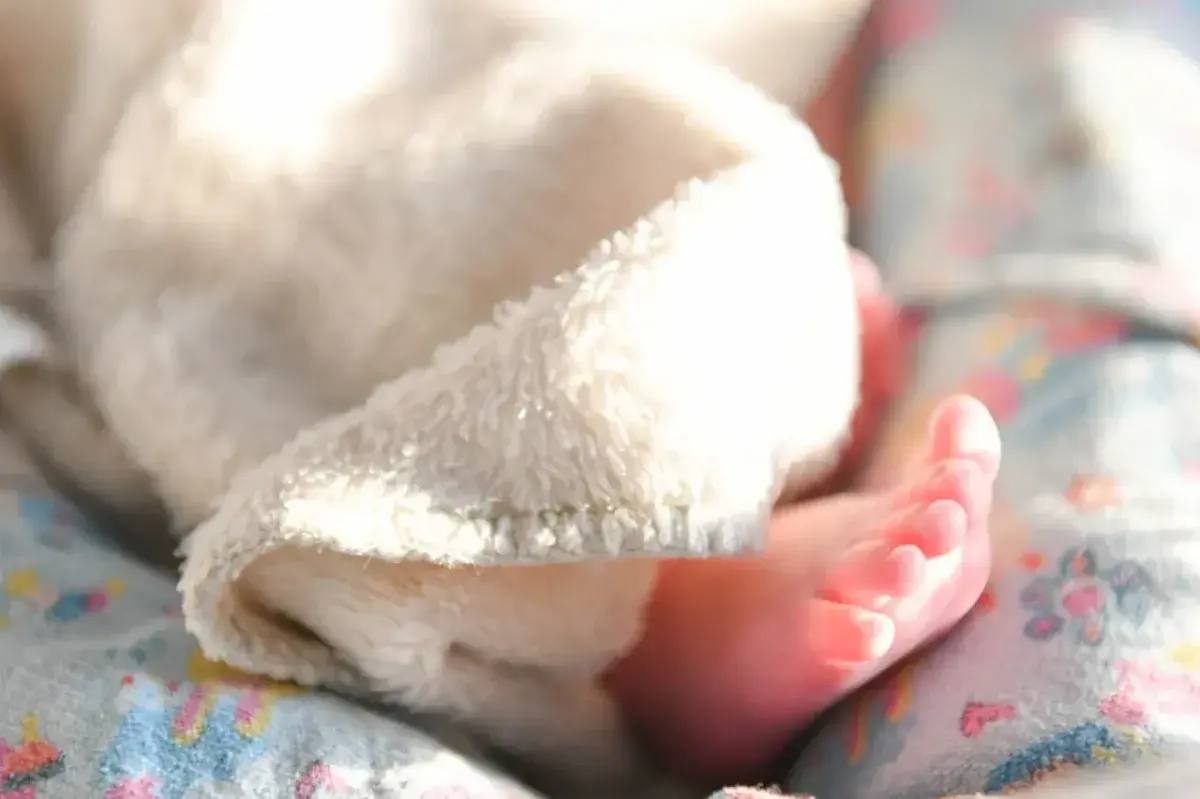 В Хакасии продолжается реализация программы по повышению рождаемости