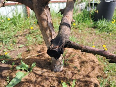 ��� ���������� ������ ��� ������ � �������� ���� ���