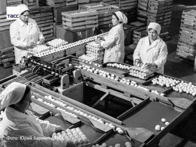 #�����_����_������. ������ ����-���������� ������������