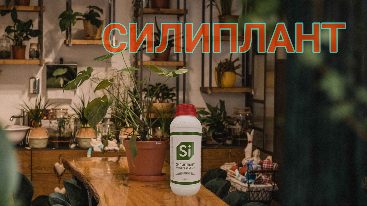 Силиплант: полезное удобрение или лишь миф?