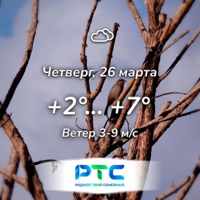 Прогноз погоды