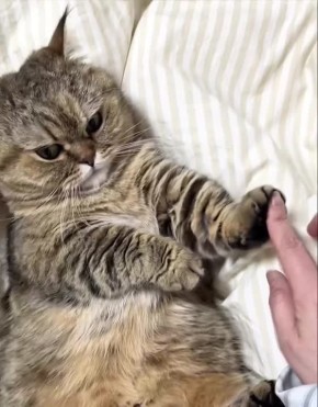 Доброе утро, Хакасия!