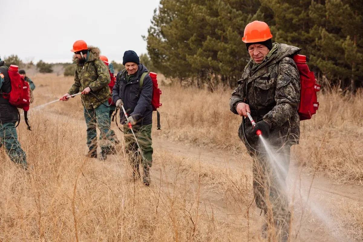 В ходе штабных учений в Смирновском бору Хакасии отработана ликвидация двух условных пожаров В ходе штабных учений в Смирновском бору Хакасии отработана ликвидация двух условных пожаров