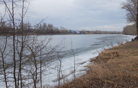 �� ���Ψ��� ������� ����� ��������� ��������