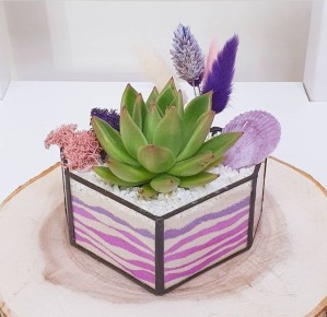 Флорариумы: как увлечение стало бизнесом