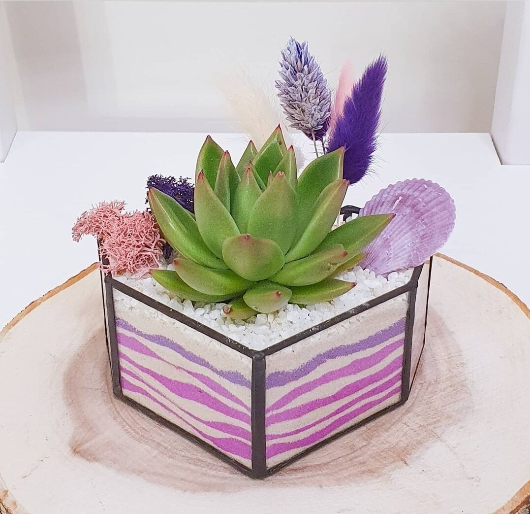 Флорариумы: как увлечение стало бизнесом