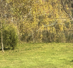 ������������ �������� ������ ��������� �������� ���������� ���������� ����������������