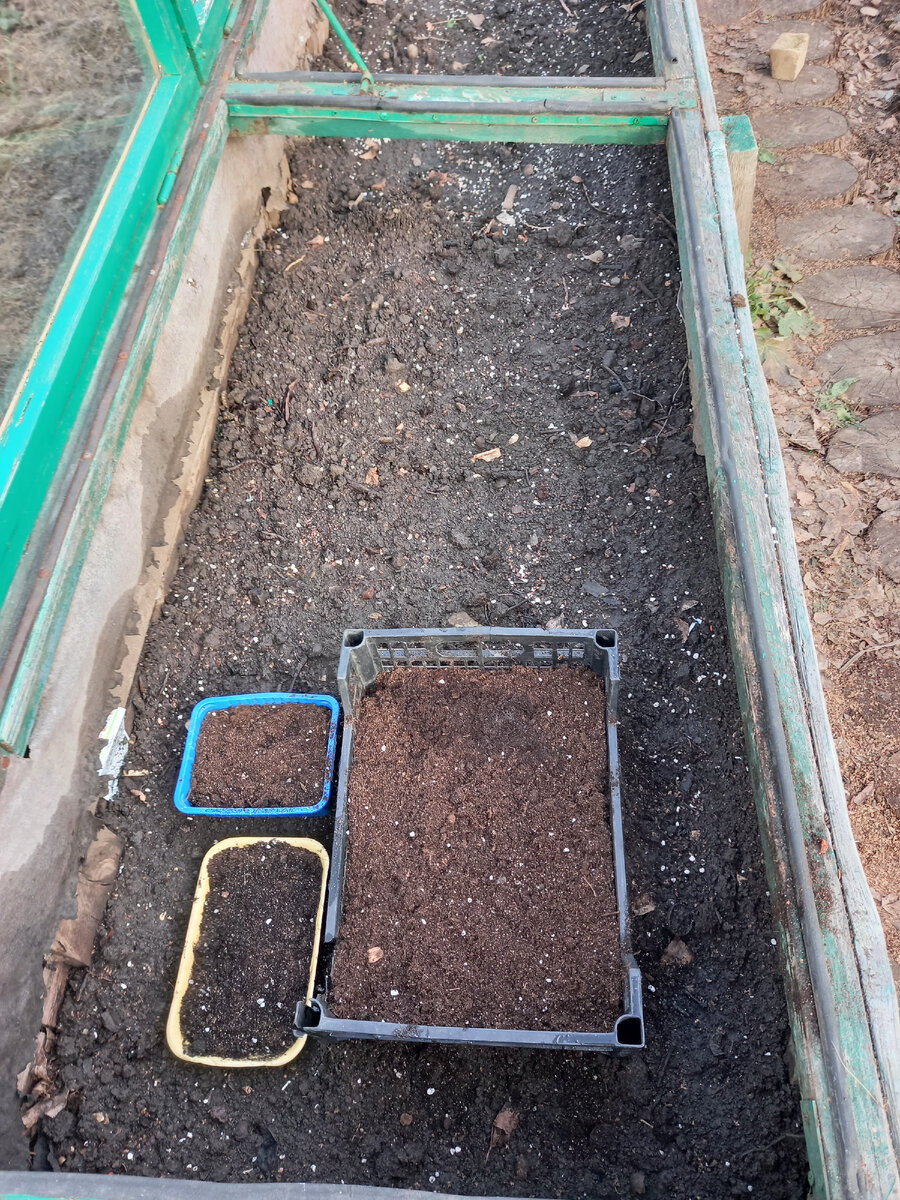 Как эффективно подготовить парник: советы и хитрости для успешного сезона