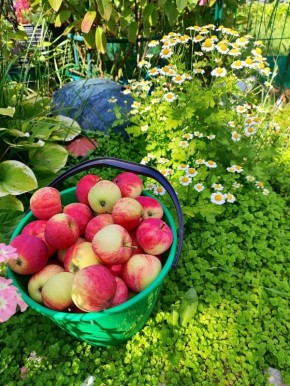 ��� ����������� ������ � ����: �������� ���� �������� �����