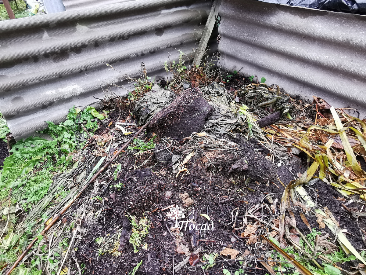 Как переработать помидорную ботву: экологичные методы