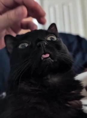 Доброе утро, Хакасия! Начинаем новую рабочую неделю!