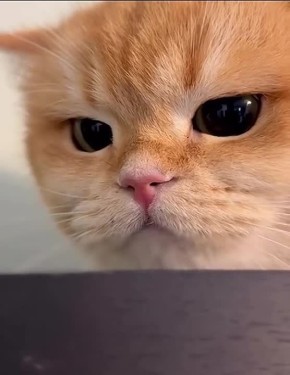 Доброе утро, Хакасия!