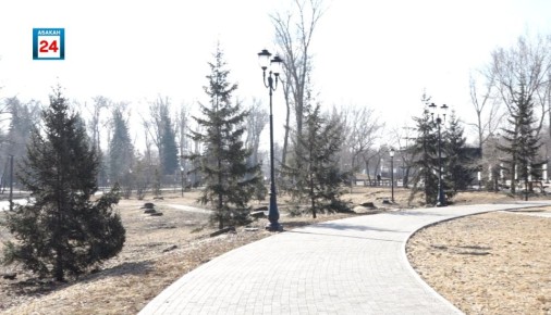Молодые саженцы заменят старые тополя: пирамидальный тополь, хвойники, лиственные деревья и декоративные кустарники украсят абаканский Парк Победы