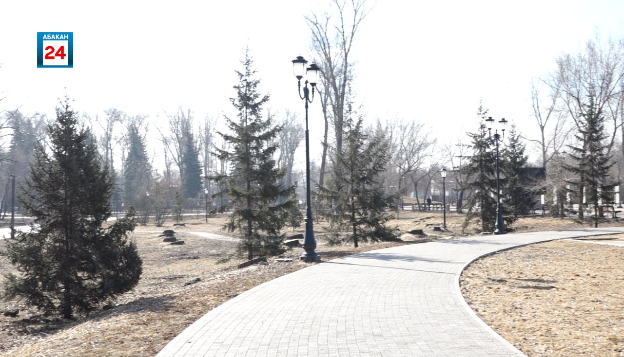 Молодые саженцы заменят старые тополя: пирамидальный тополь, хвойники, лиственные деревья и декоративные кустарники украсят абаканский Парк Победы