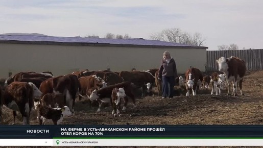 �� ������ ������� - �������� �������