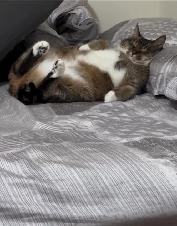 Доброе утро, Хакасия!