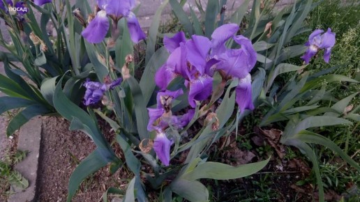 �����: ������������� �������� ��� ������ ����