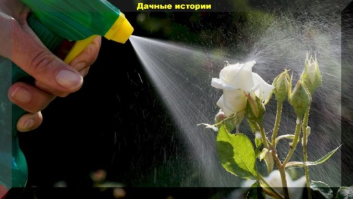 ������� ����� ����� ��������� ��������: �������� � ���������� ���������