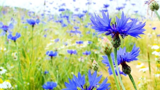 ��������: ����� ����� ��� ������ ���� � ���� �� �����