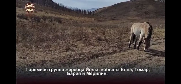 ��� ������ ������ ���� � ������� �������������, ���������� � ����������� ���������