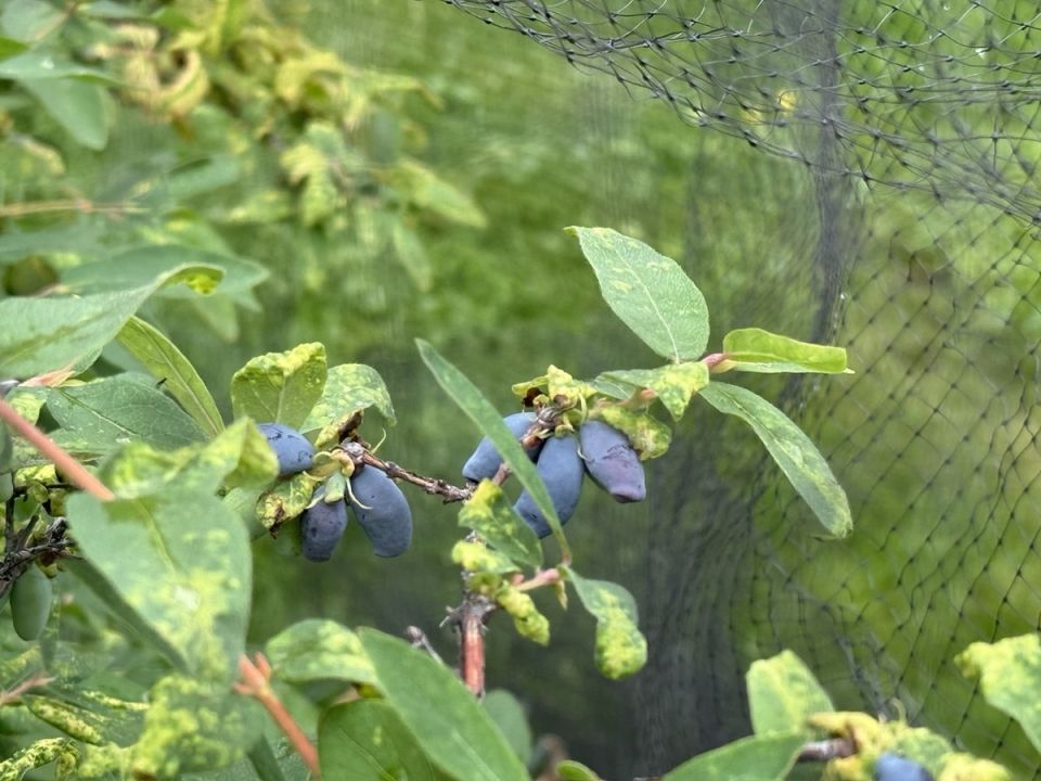 ��� �������� ��������� �� ���� � ��������� ������
