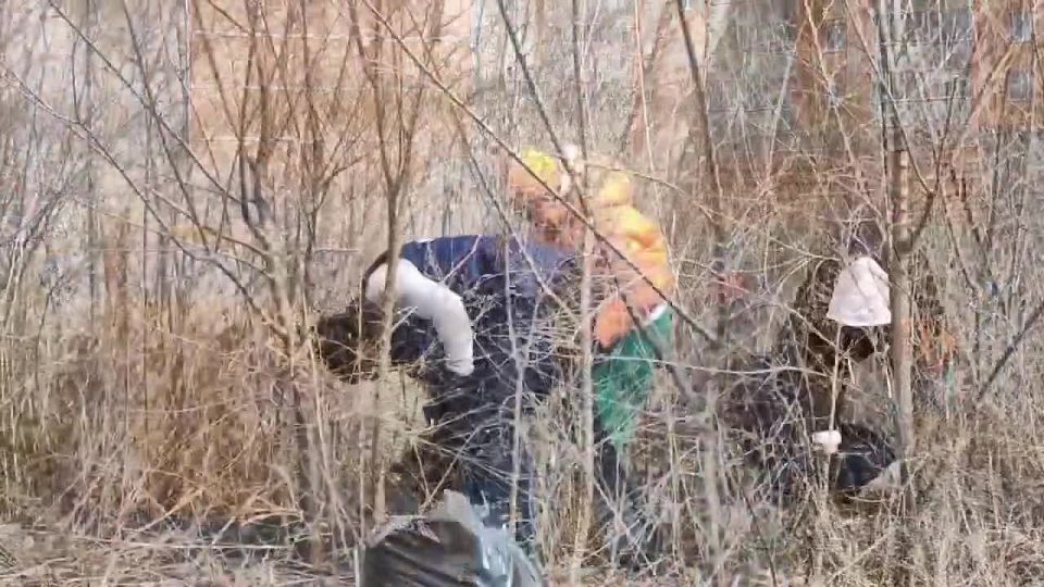 ������� �����: ����� � �������� ������������� �� ������ ��������� ���� �����