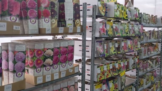 Эксперимент с неприхотливыми цветами: кто выжил, а кто сдал позиции