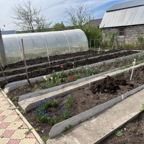 Как опилки могут преобразить ваш сад: секреты успешного использования