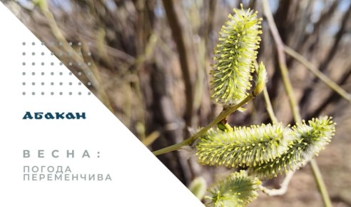 �� ���������� ������� 6 ������ 2026 ���� ������� ��������� ������� ����� �������� ��������, ������ 15-20 �/�