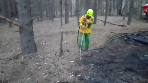 Оперативно среагировали: минусинский бор едва не сгорел из-за любителей пикника, пожар удалось предотвратить