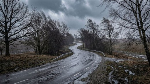 ��� �������������: � ������� ����� ������������� ��������