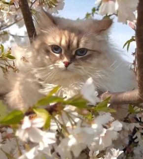 Доброе утро, Хакасия!