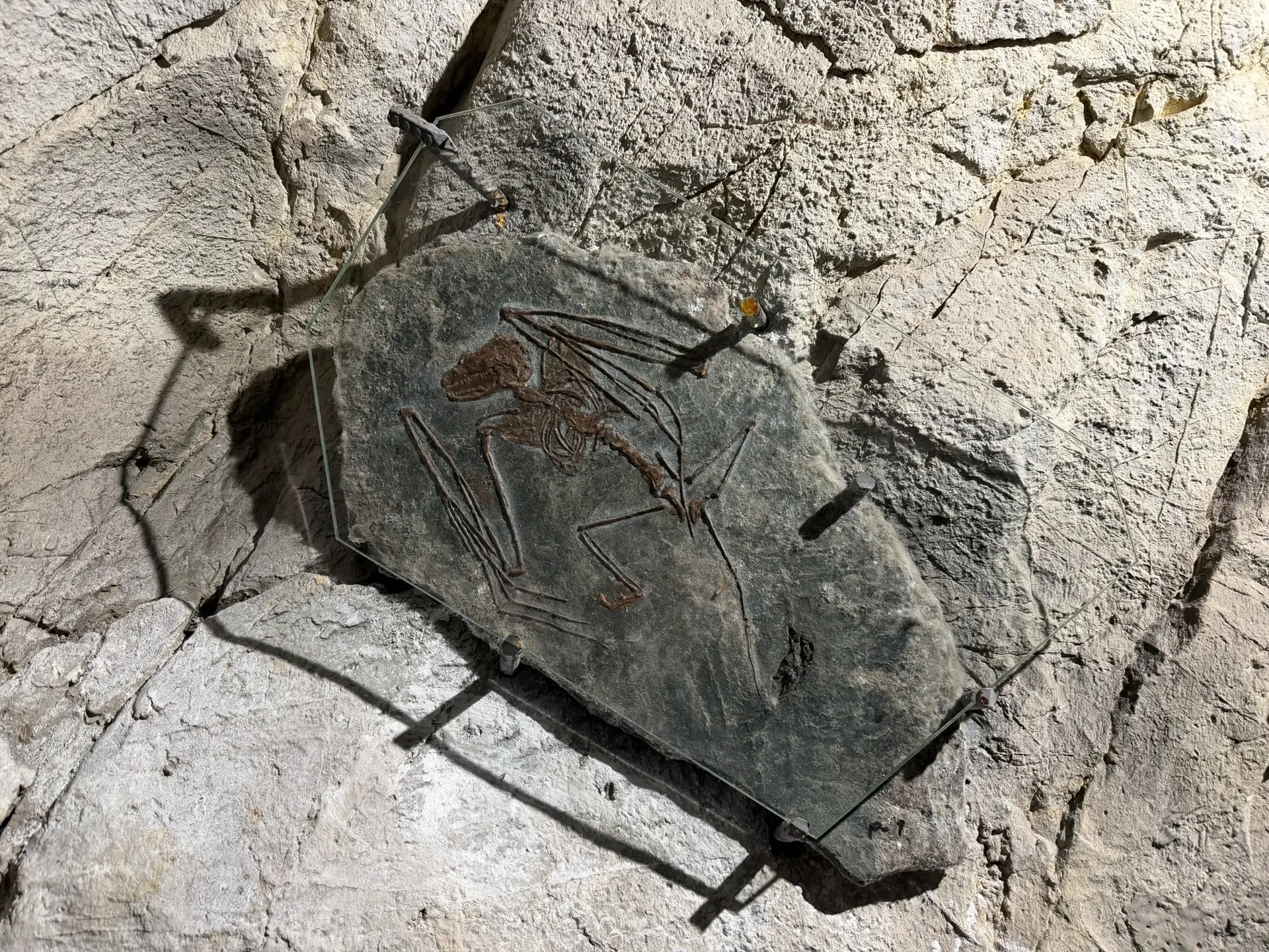 В Бородинской пещере открыли новую экспозицию "Таинственная" В Бородинской пещере открыли новую экспозицию "Таинственная"