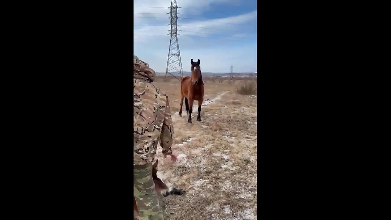 В ХАКАСИИ ПРОВЕЛИ НЕОБЫЧНУЮ СПАСАТЕЛЬНУЮ ОПЕРАЦИЮ
