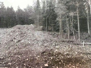 Прокуратура республики в судебном порядке доказала обязанность арендатора лесного участка по возмещению ущерба, причиненного незаконной рубкой лесных насаждений третьими лицами